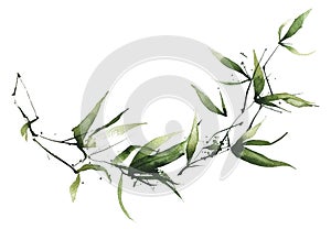 Watercolor exotic greenery semicircular frame. Green bamboo branches, leaves and twigs.