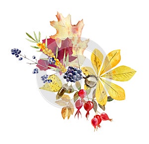 Watercolor fall arrangement of foliage and fruit