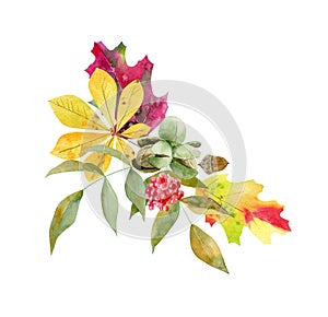 Watercolor fall arrangement of foliage and fruit