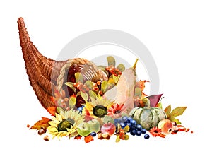 Watercolor Fall Cornucopia clipart. Autumn Harvest Clip Art, Thanksgiving Day art photo