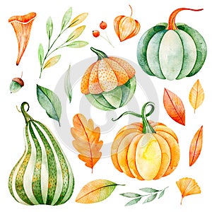 Watercolor fall leaves, branches,pumpkins etc