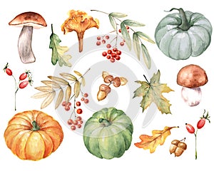 Watercolor fall set with leaves