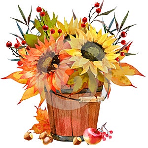 Watercolor Fall Sunflower , rustic clipart. Autumn Harvest Clip Art, Thanksgiving Day art, photo