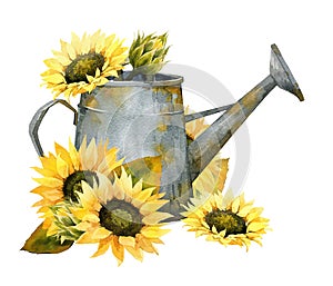 Watercolor Fall Sunflower , rustic clipart. Autumn Harvest Clip Art, Thanksgiving Day art, photo