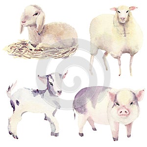 Watercolor farm animals set