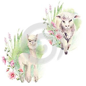 Watercolor farm animals set