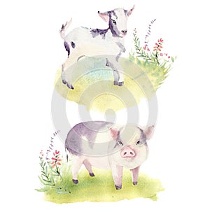 Watercolor farm animals set