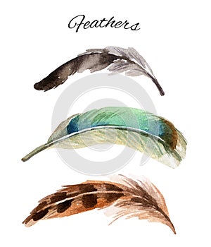 Watercolor feather set