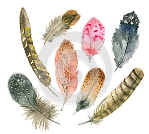Watercolor feather set