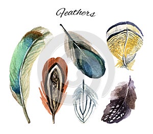 Watercolor feather set