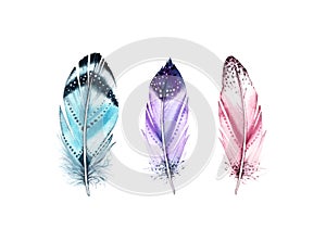 Watercolor feather set. Realistic painting with vibrant colourful wings. Boho style illustration isolated on white. Wild