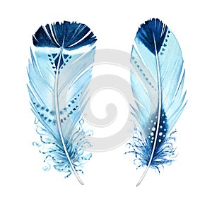 Watercolor feather set. Realistic painting with vibrant turquoise ornaments. Boho style illustration isolated on white