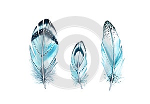 Watercolor feather set. Realistic painting with vibrant turquoise wings. Boho style illustration isolated on white. Bird