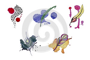 Watercolor feather set. Vector.