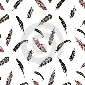 Watercolor feathers seamless pattern. hand painted bird feather print on white background. Boho style