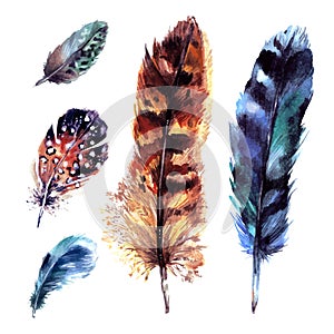 Watercolor Feathers Set