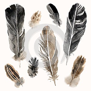 Watercolor feathers set on white background