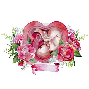 Watercolor fetus inside the womb photo