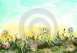 Watercolor field, countryside landscape.Wildflowers dandelion. Wild grass, plants. Sunset sky. Art banner.