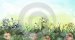 Watercolor field, countryside landscape.Wildflowers dandelion. Wild grass, plants. Sunset sky. Art banner.