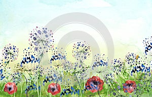 Watercolor field, countryside landscape.Wildflowers dandelion. Wild grass, plants. Sunset sky. Art banner.