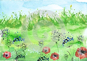 Watercolor field, countryside landscape.Wildflowers dandelion. Wild grass, plants. Sunset sky. Art banner.