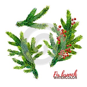 Watercolor fir branches with red berry isolated on white background