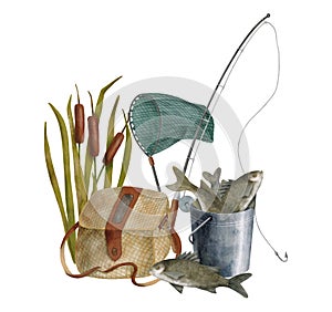 Watercolor fishing tackle illustration. Hand drawn fishing rod, landing net, creel, reed plant and metal bucket of fish