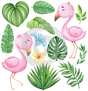 Watercolor flamingo and tropical leaves clip art