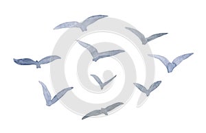 Watercolor flock of birds illustration. Hand painted abstract flying seagulls silhouette isolated on white background