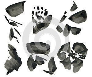 Watercolor floral abstract elements. Hand painted black flowers, leaves, seeds and twigs isolated on white background. Floral