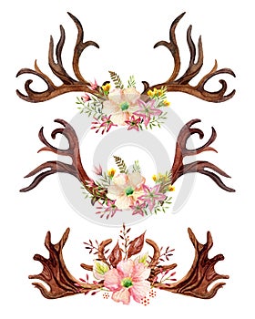 Watercolor floral antler.