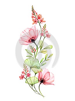 Watercolor floral arrangement. Vertical design element. Abstract big poppy flowers with exotic fresia isolated on white