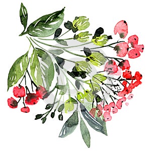 Watercolor floral arrangments