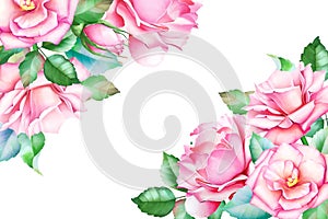 Watercolor floral background with pink roses and green leaves.