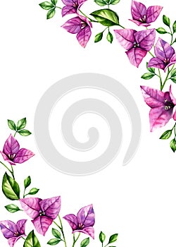 Watercolor floral background. Vertical A5 card template and place for text. Purple bougainvillea flowers in corners