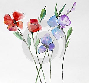 Watercolor floral background. Watercolor flower bouquets. Birthday card