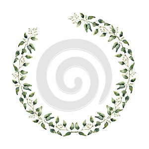 Watercolor floral border with eucalyptus leaves and flowers. Hand painted floral wreath with branches, leaves of eucalyptus