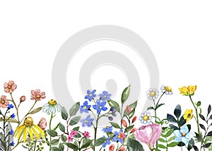 Watercolor floral border with hand painted wildflowers, herbs, leaves, isolated on white background. Botanical flower frame