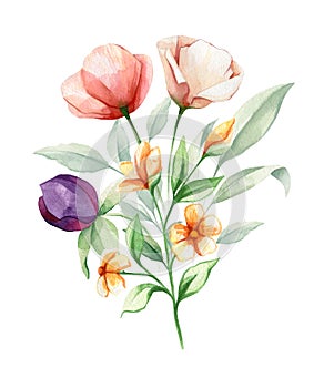 Watercolor floral bouquet. Arrangements with garden wild flowers. Botanic illustration set. Herbal elements of wild