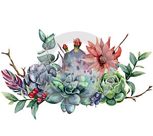 Watercolor floral bouquet with cactus and flower. Hand painted opuntia, succulent, berries, feathers, eucalyptus leaves