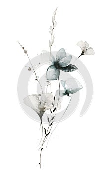 Watercolor floral bouquet. Delicate blue, gray poppy, chamomile, ginko biloba, spikelets, wild flowers, leaves, branches