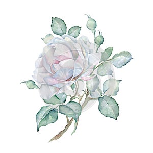 Watercolor Floral Bouquet with Delicate White Rose