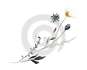 Watercolor floral bouquet of gray, black, orange poppy, daisy, spikelet, wild flowers, branches, field herbs