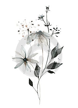 Watercolor floral bouquet of growing gray, black chamomile, daisy, little wild flowers, leaves, branches, field herbs.