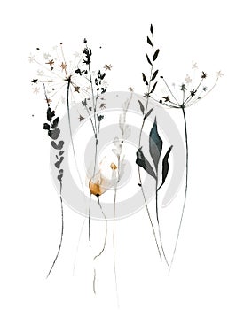 Watercolor floral bouquet of growing gray, black, orange poppy, spikelets, wild flowers, branches, field herbs.