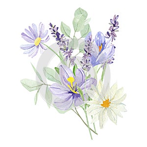 Watercolor floral bouquet illustration with crocus and eucalyptus and lavender, wildflowers, green leaves, for wedding stationery