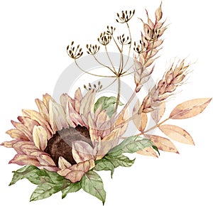 Watercolor floral bouquet. Sunflower, dill, ears of wheat. Thanksgiving illustration. Harvest and fall concept.