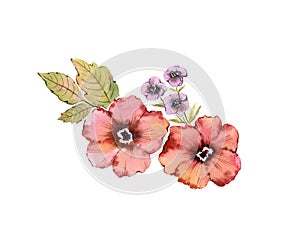 Watercolor floral composition. Rustic pink flowers bouquet: rose hip, briar, leaves, isolated on white background. Hand