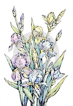 Watercolor floral design